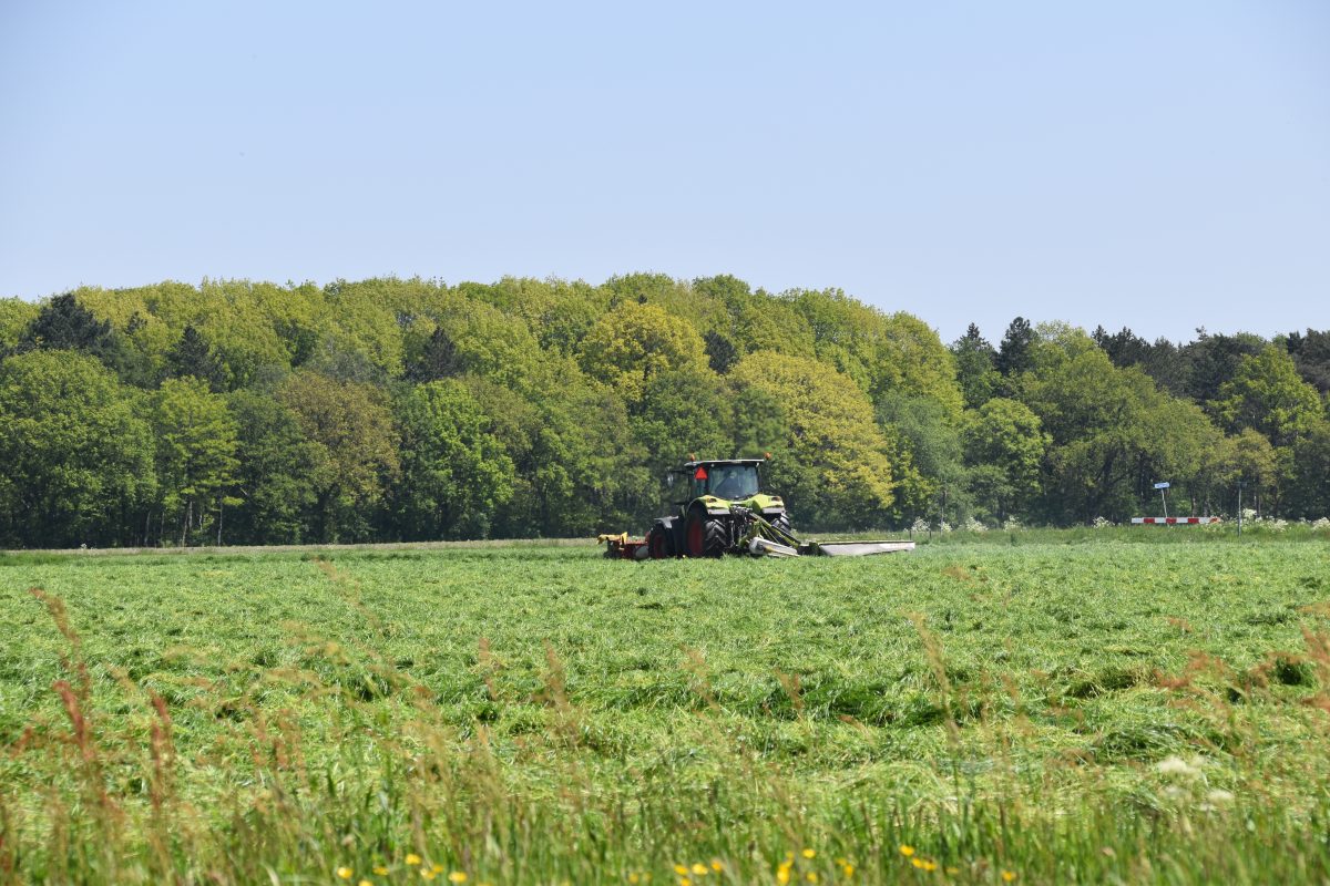 Tractor op het platteland, Trekker, Tractor, Landbouw